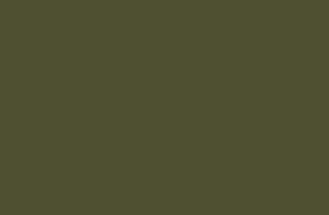 Army Green | Rectangle