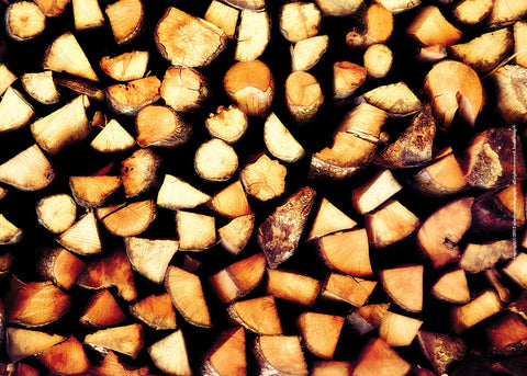 Wood Pile