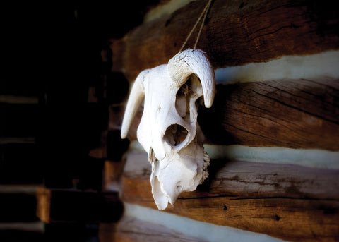 Skull | Rectangle